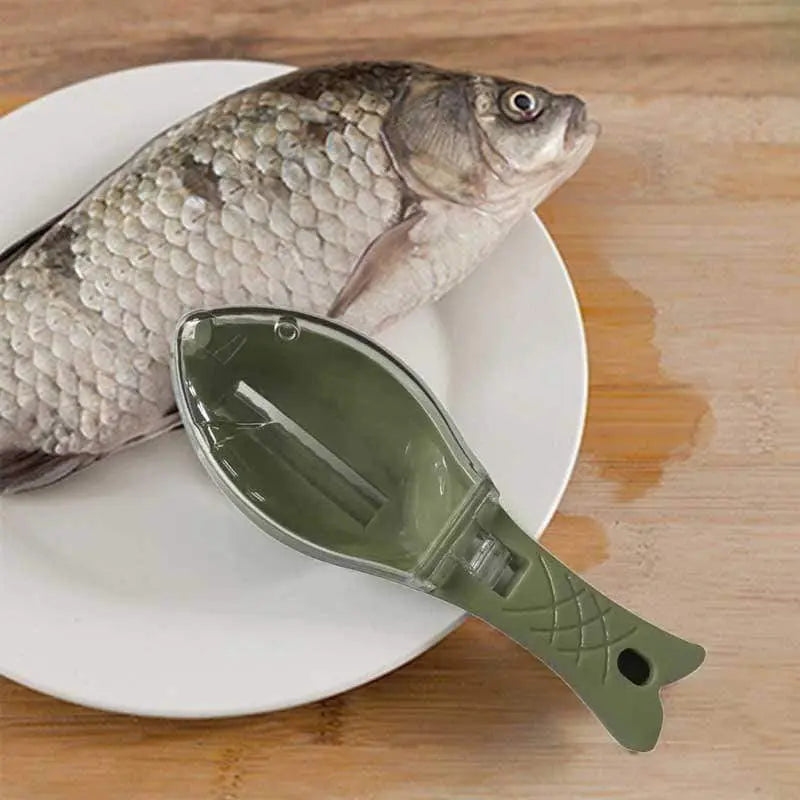 Fish Skin Brush Scraping Cato Collection