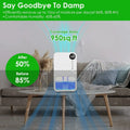 Portable Small Dehumidifier with Humidity Display, 10oz Moisture Removal per Day, 1.1L Water Tank, 1-24H Timer & 7-Color Night Light for Bathroom RV Closet Doba
